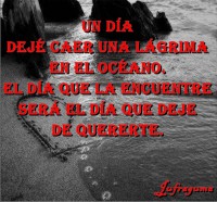 /album/fotogaleria/un-dia-jpg/